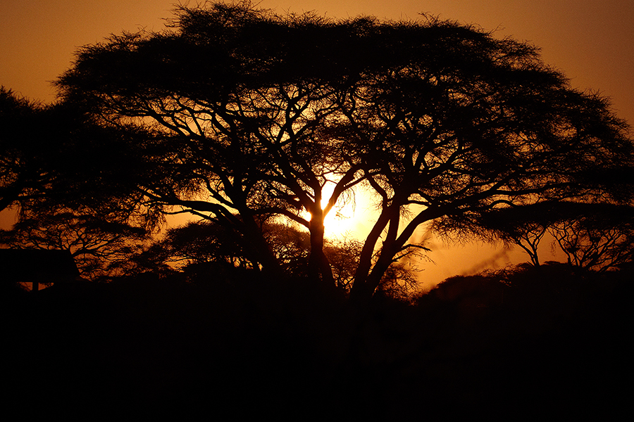 Sonnenuntergang im Amboseli